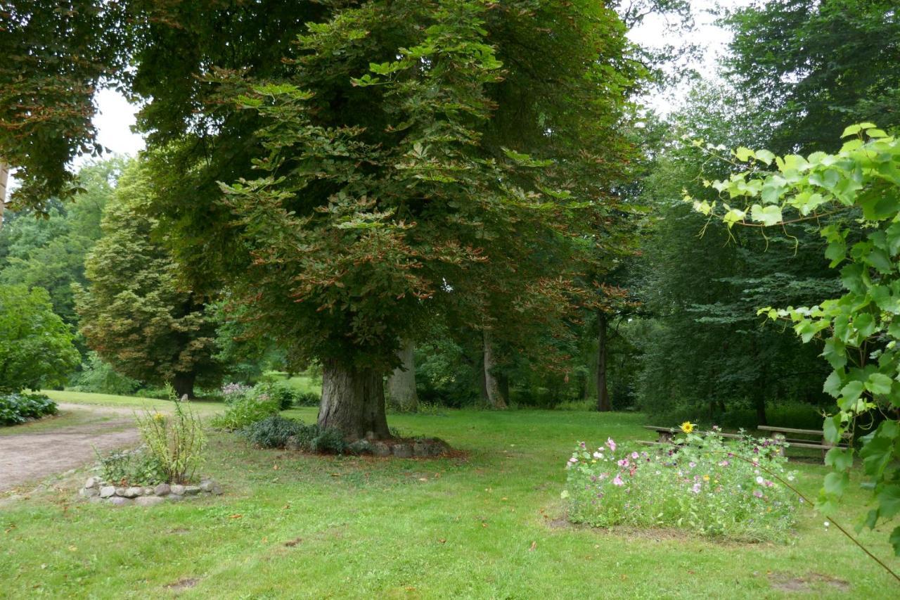 Landhaus Schloss Koelzow Kolzow Buitenkant foto
